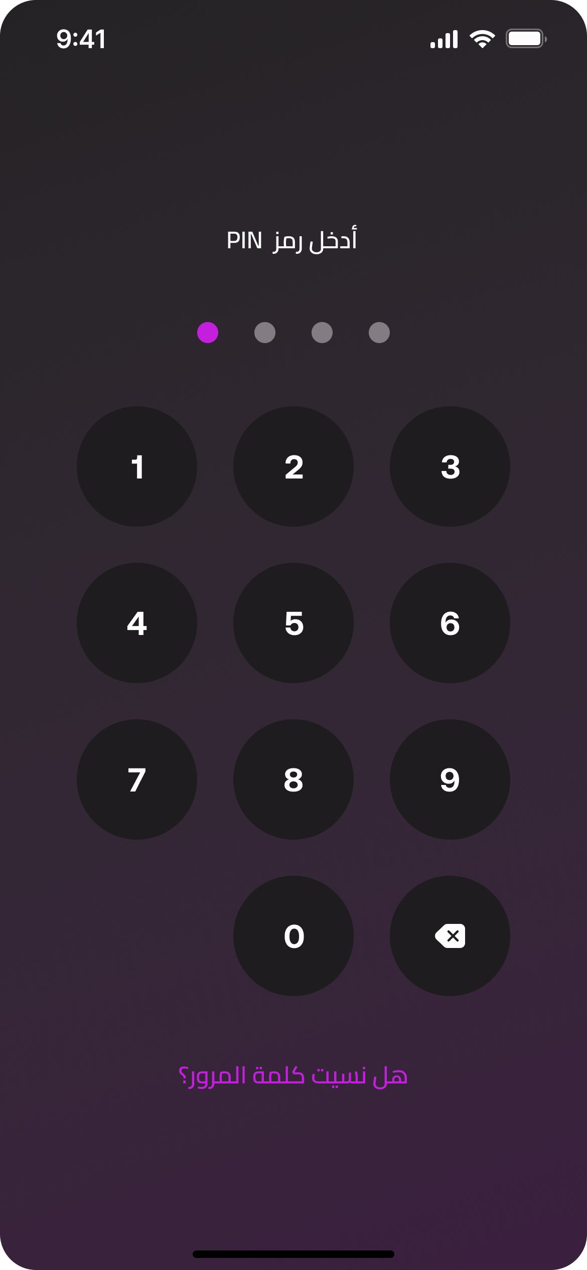 Viva Finance PIN entry, dark theme