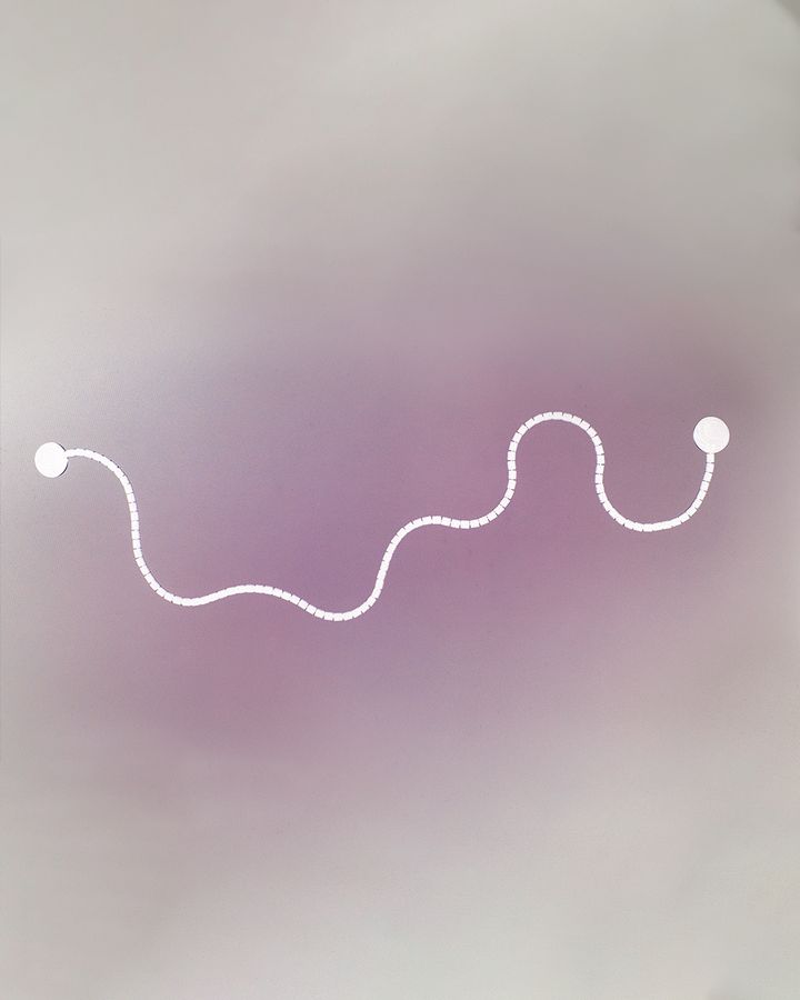 Content creation DK01 — Mk Black Chain Snake